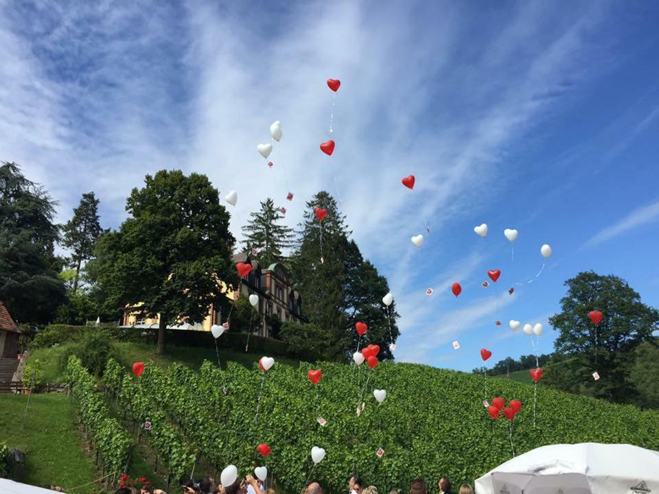 Wein Lodge Durbach - Josephsberg 2 المظهر الخارجي الصورة
