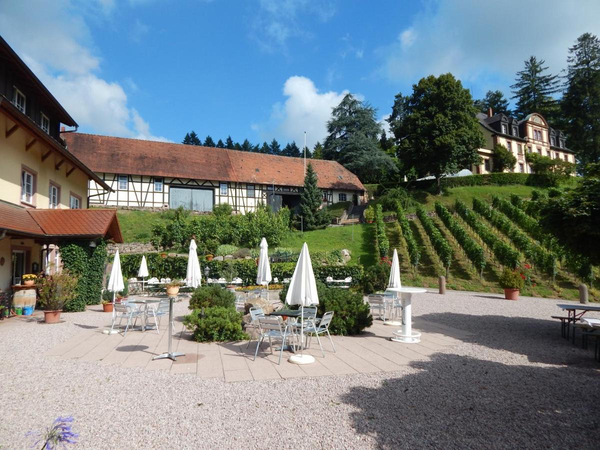 Wein Lodge Durbach - Josephsberg 2 المظهر الخارجي الصورة